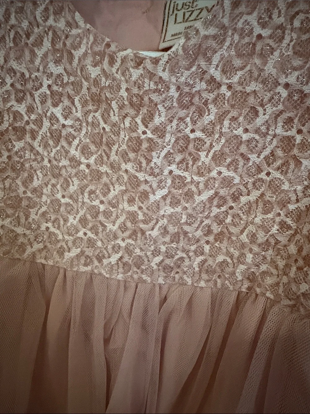 Girls Pink Lace & Tulle Party Dress
